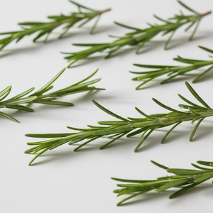 Rosemary
